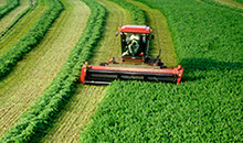 Alfalfa improves farm profitability